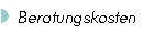 Beratungskosten